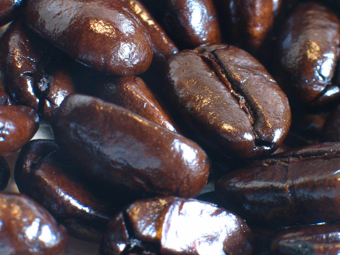 How to Store Coffee Beans and Keep Them Fresh