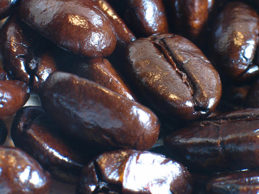 How to Store Coffee Beans and Keep Them Fresh