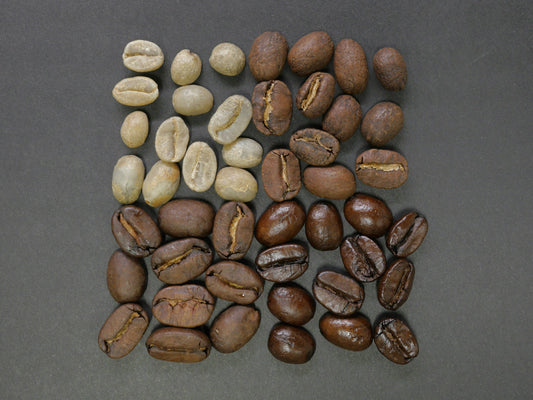 Single-Origin Coffee vs. Blends: What Is the Difference?